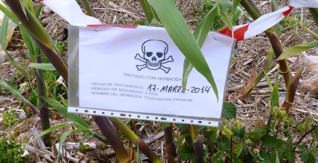 foto alteatequieroverde