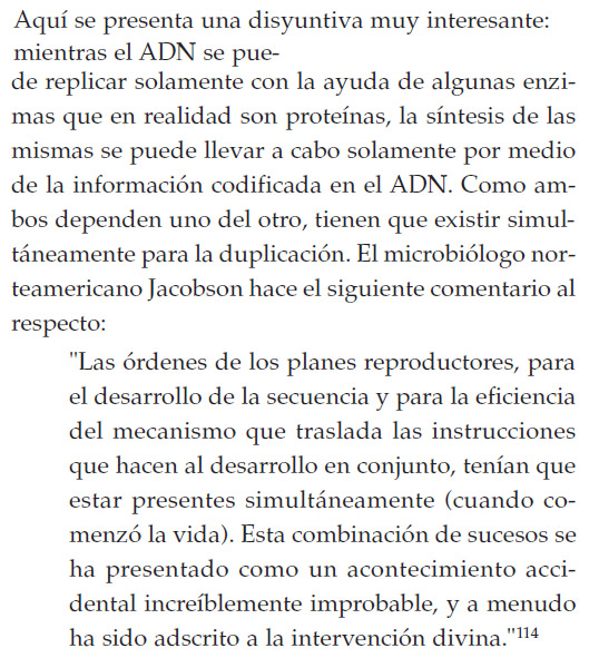 adn replicación.jpg