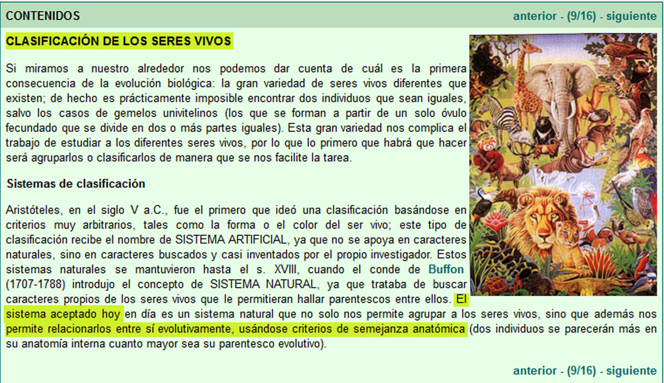clasificacion.jpg