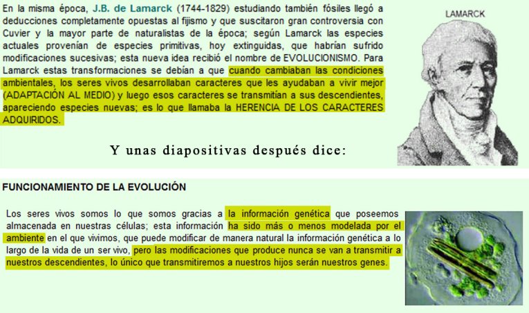 herencia-caracteres.jpg