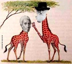 lamarck-vs-darwin-2-biotay.jpg