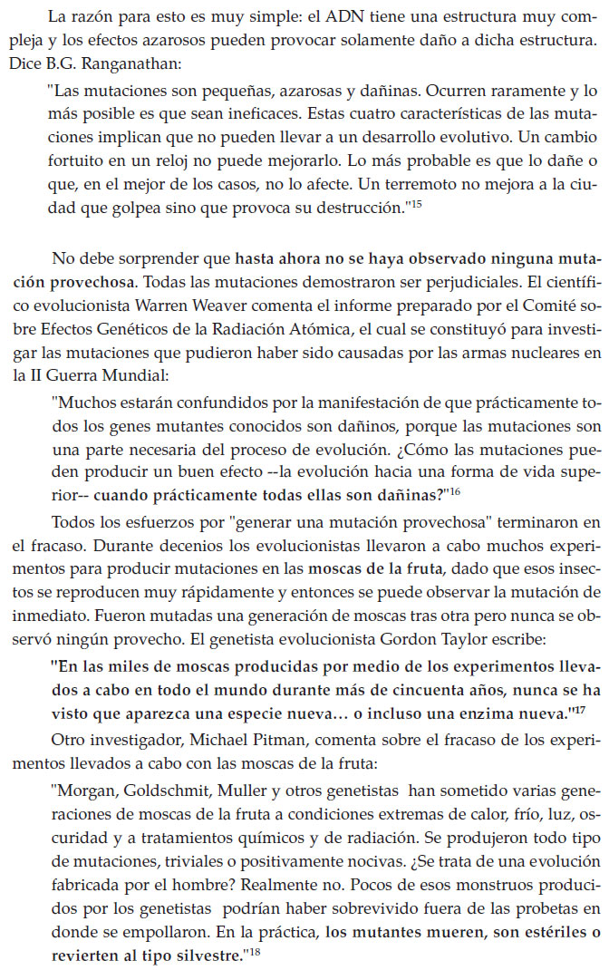 mutaciones.jpg