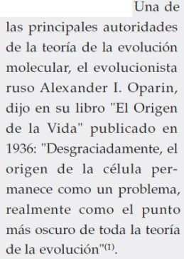 origen 1.jpg