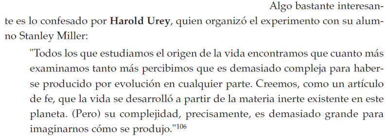 origen 3.jpg