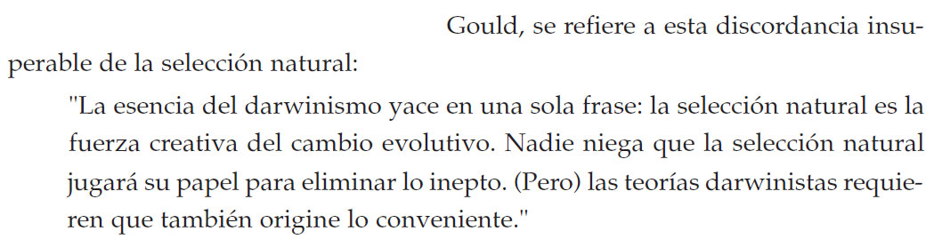origine-conveniente.jpg