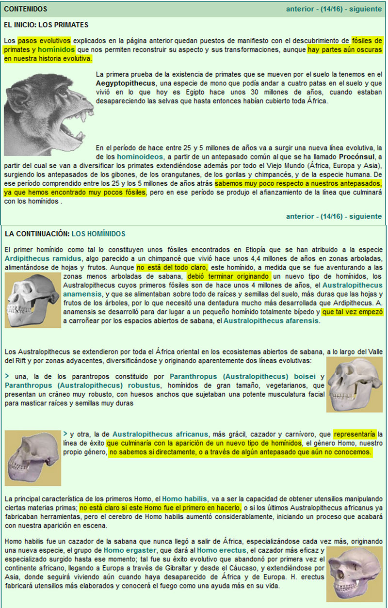 primates.jpg