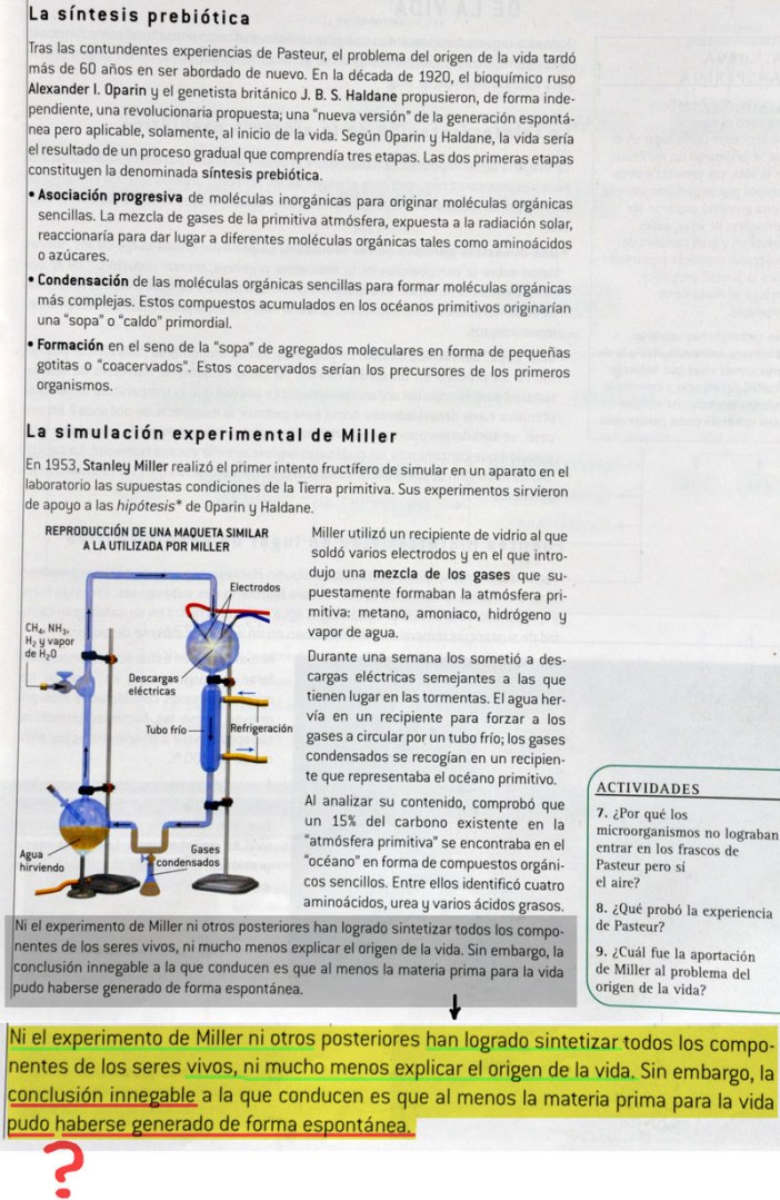 vida-SM2.jpg