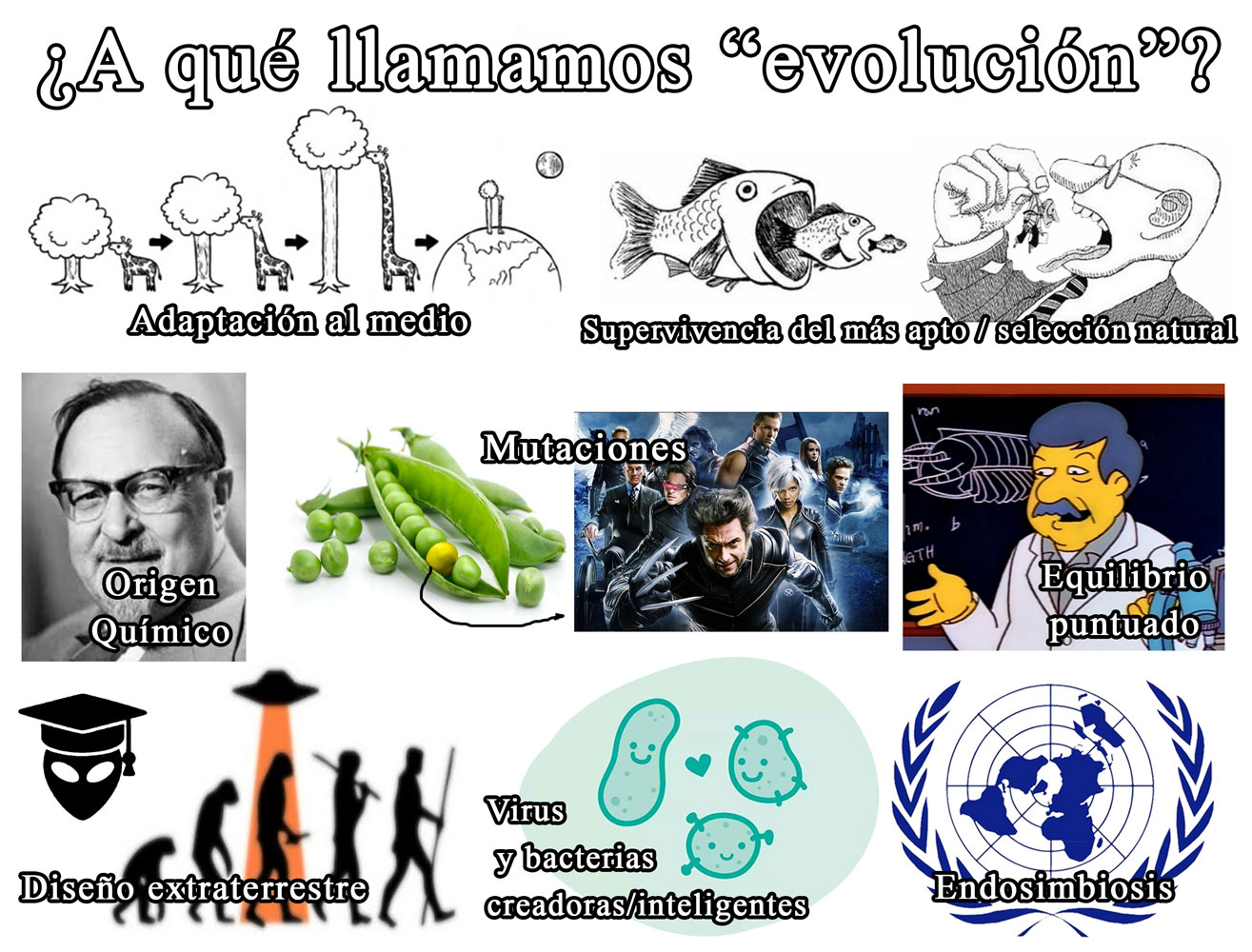 evolución-cartel