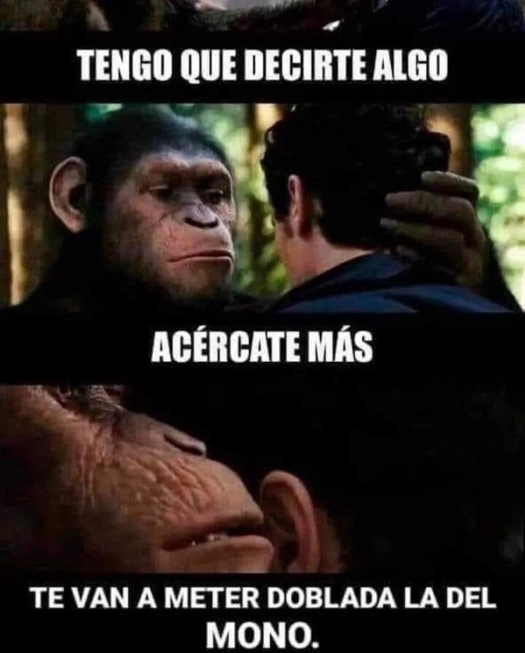 Como nos descuidemos nos la meterán con la del&nbsp;mono